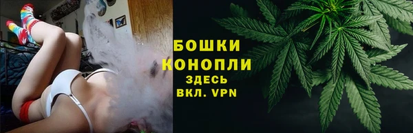 дурь Кинешма