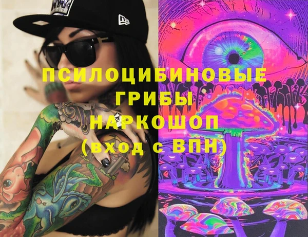 дурь Кинешма