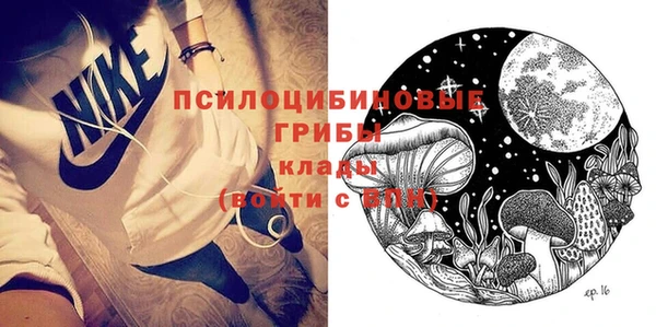 прущие грибы Киренск