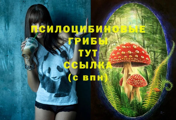 прущие грибы Киренск