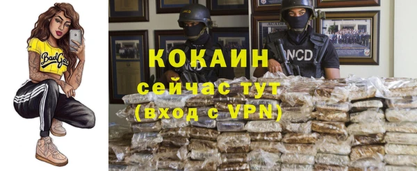 прущие грибы Киренск