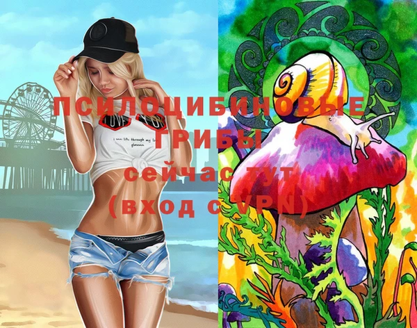 прущие грибы Киренск