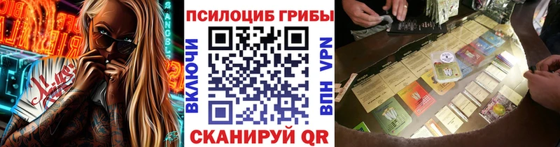 Псилоцибиновые грибы Psilocybine cubensis  Купить  Железногорск-Илимский 